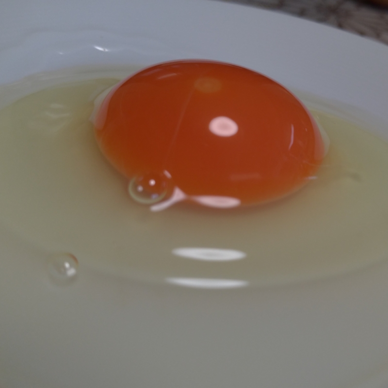 egg01.jpg